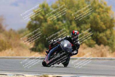 media/May-15-2022-SoCal Trackdays (Sun) [[33a09aef31]]/Turn 7 (1145am)/